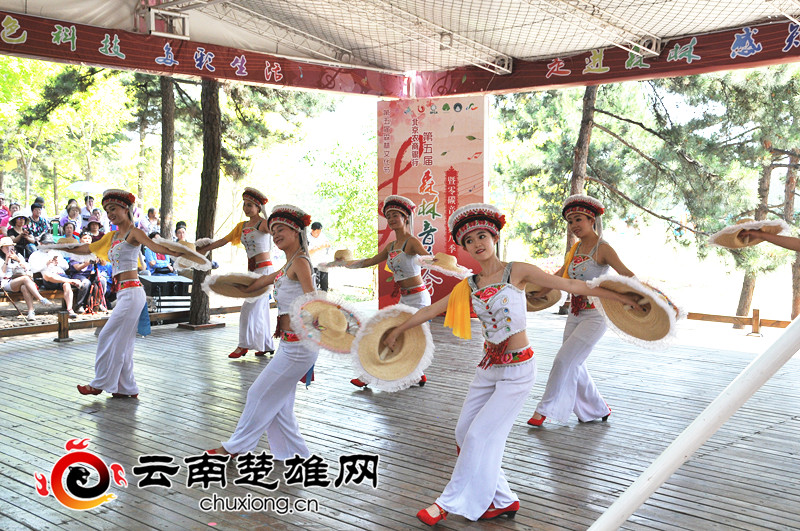 DSC_4468_����