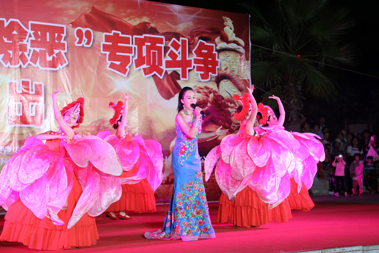 歌伴舞《马樱花红》 歌伴舞《马樱花红》